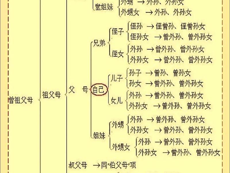 女婿亲属关系咋写（女婿亲属关系咋写啊）