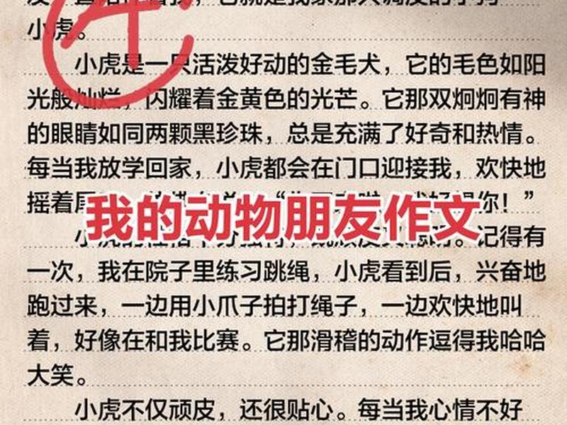 从动物角度思考人际关系 从动物角度思考人际关系的作文 从动物角度思考人际关系 从动物角度思考人际关系的作文