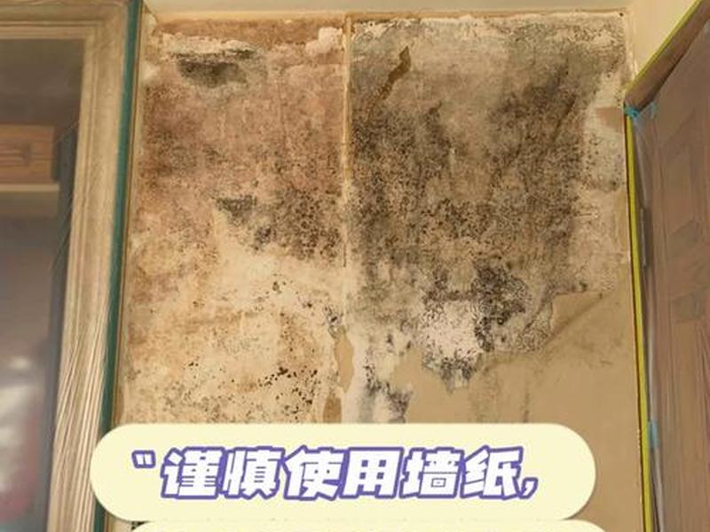 墙壁发霉怎么弄 墙壁发霉怎么弄掉