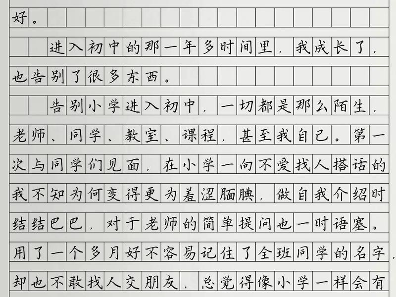 你如何理解快节奏时代的成长 在快节奏时代如何看待慢作文 你如何理解快节奏时代的成长 在快节奏时代如何看待慢作文