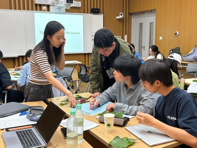 大学人际关系课程，大学人际关系心理学课程