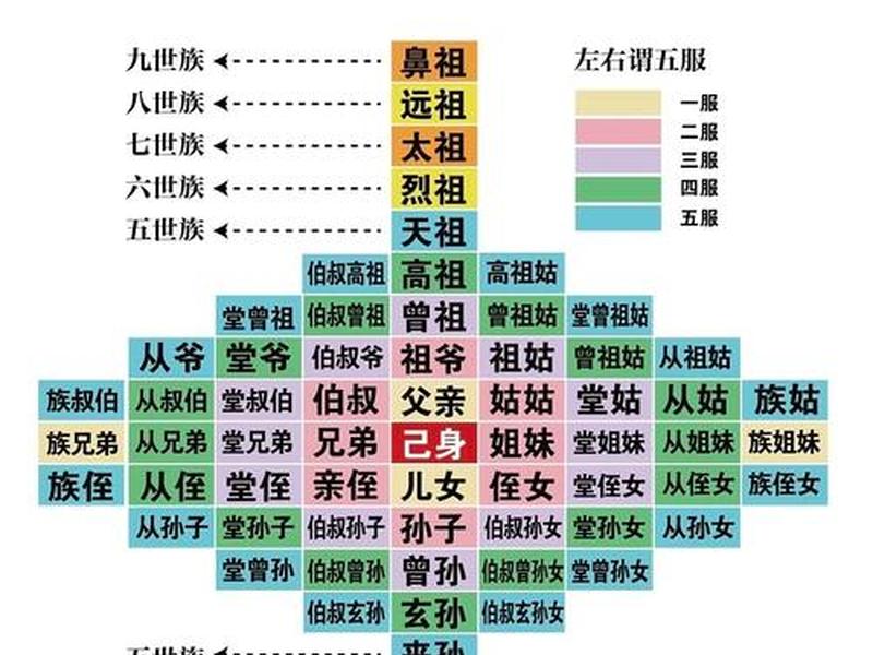 85后人际关系图谱最新、85后人际关系图谱最新图片