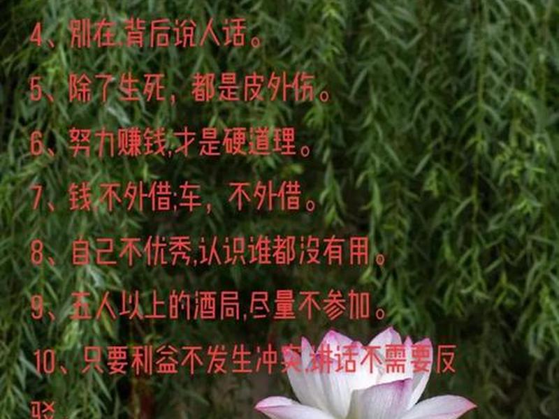 从容面对人情世故;从容面对人情世故的句子 从容面对人情世故;从容面对人情世故的句子