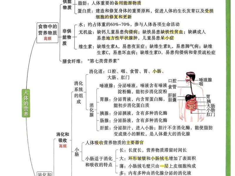 健康的社会决定论 - 健康社会决定因素的理论框架 健康的社会决定论 - 健康社会决定因素的理论框架