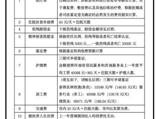 交通事故快速处理流程和赔偿标准（交通事故简易处理流程及赔偿标准）