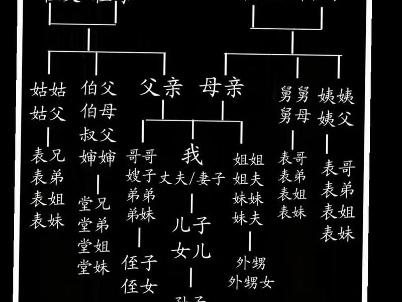 国家人际关系图、国家人际关系图片大全
