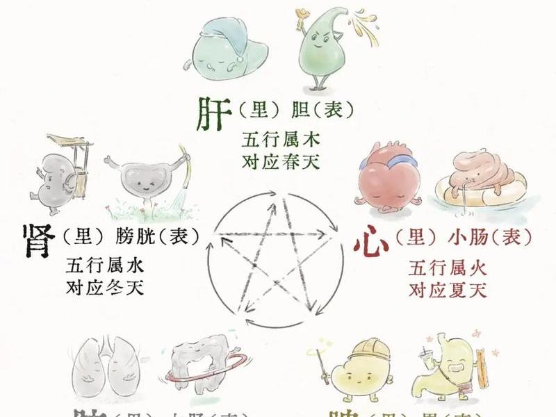 人的身体对应人际关系 人的身体对应人际关系是什么 人的身体对应人际关系 人的身体对应人际关系是什么