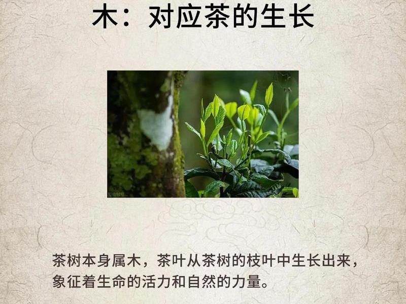 喝茶与财运的关系 - 茶与财富 喝茶与财运的关系 - 茶与财富