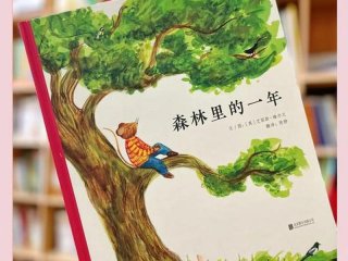 8岁小孩看什么书 - 8岁小孩看什么书最好