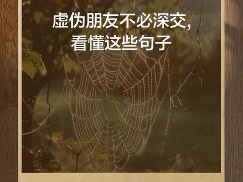 单位里的人际关系太虚伪；单位里的人际关系太虚伪了