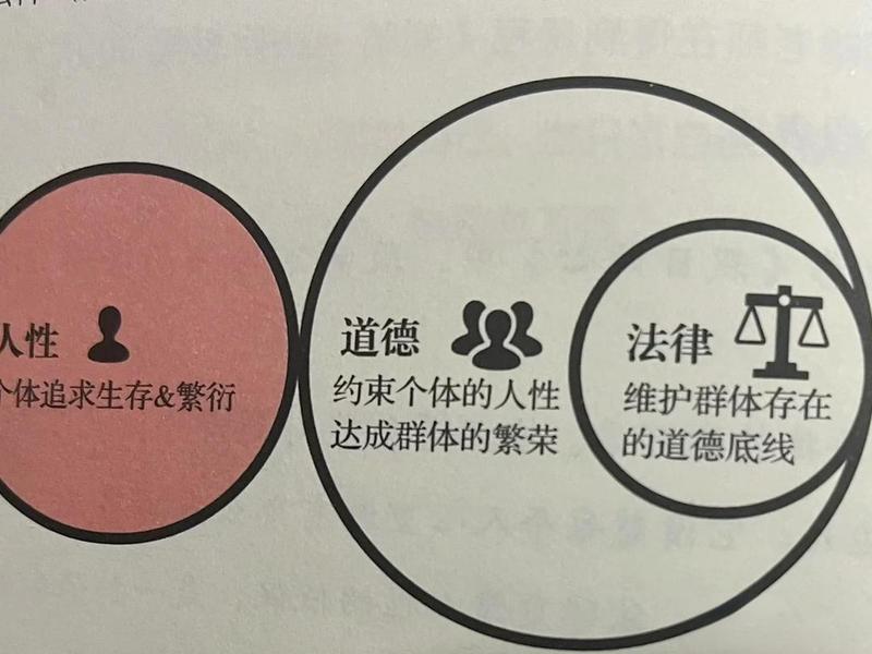 关于人际关系的法律(关于人际关系的法律有哪些) 关于人际关系的法律(关于人际关系的法律有哪些)