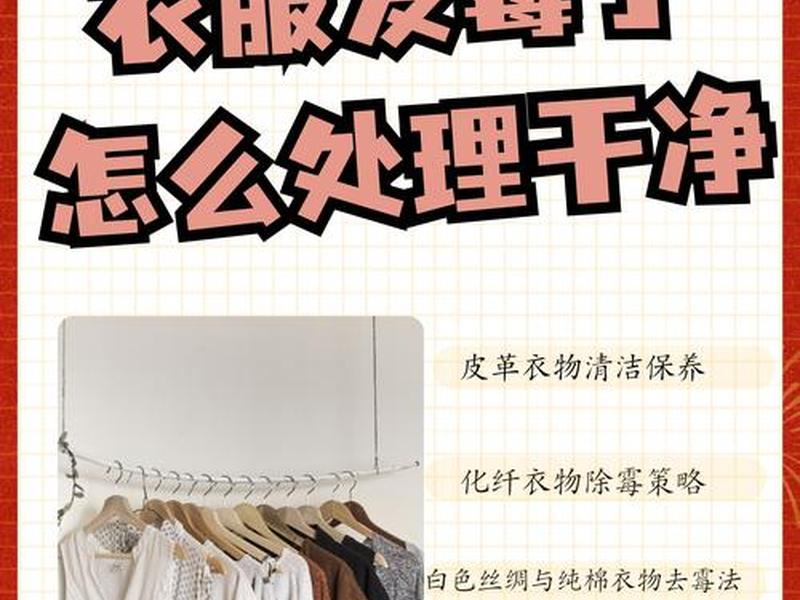 发霉霉菌怎么清除 - 发霉的霉菌怎么去除 发霉霉菌怎么清除 - 发霉的霉菌怎么去除