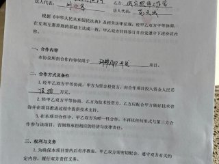 和你合作的同时又和其他人合作，你有过和他人合作的经历吗？选择一个合作成功