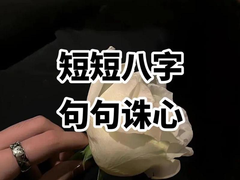 不迁就别人的句子 - 不迁就别人的句子有哪些 不迁就别人的句子 - 不迁就别人的句子有哪些