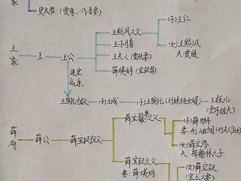 《红楼梦》人际关系图集大全;《红楼梦》人际关系图集大全图片 《红楼梦》人际关系图集大全;《红楼梦》人际关系图集大全图片