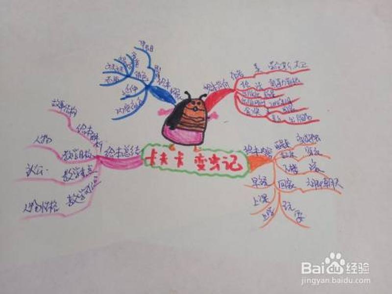 变形记卡夫卡人物关系图 变形记卡夫卡人物关系 图 变形记卡夫卡人物关系图 变形记卡夫卡人物关系 图
