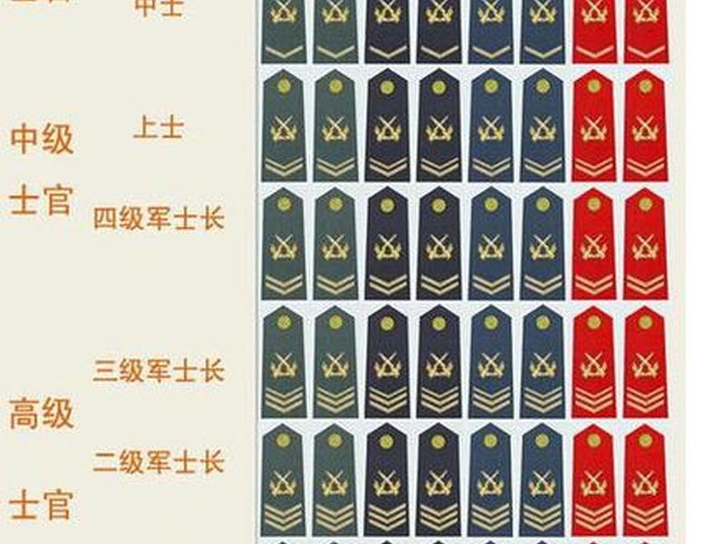 军职在线内容 军职在线2.8.5 军职在线内容 军职在线2.8.5