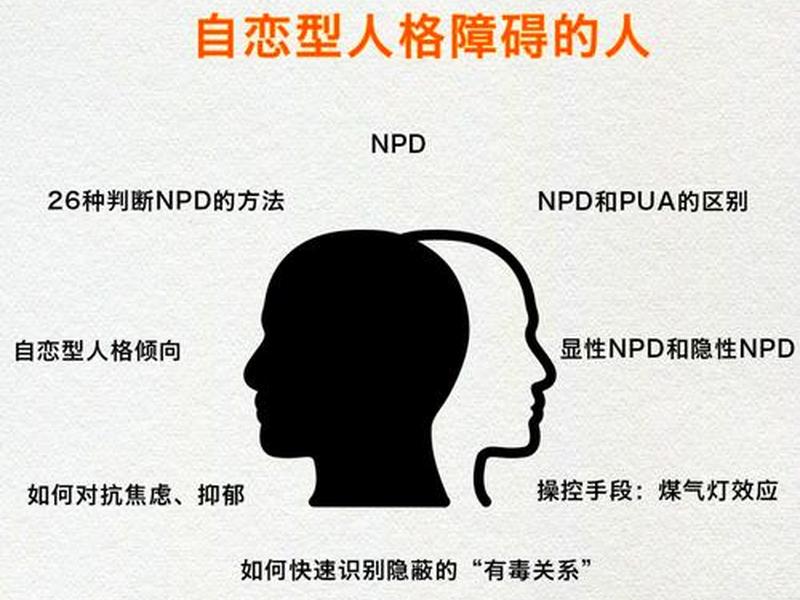dnp人格与人际关系、npd人格与bpd