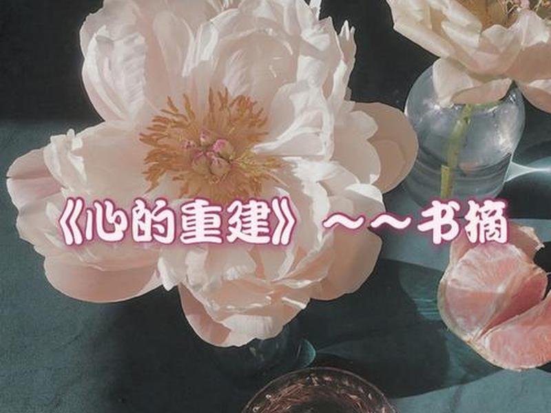 关系的重建豆瓣 关系的重建 豆瓣 关系的重建豆瓣 关系的重建 豆瓣