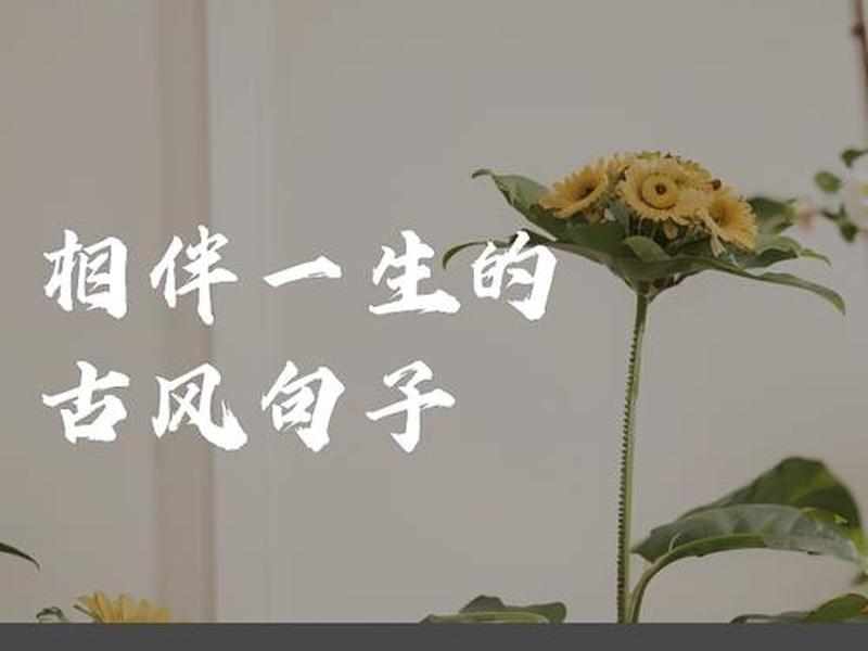 关于陪伴的诗句或名言,关于陪伴的诗句或名言名句 关于陪伴的诗句或名言,关于陪伴的诗句或名言名句