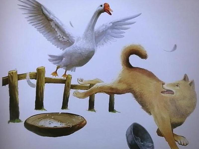 丰子恺的、丰子恺的白鹅 丰子恺的、丰子恺的白鹅