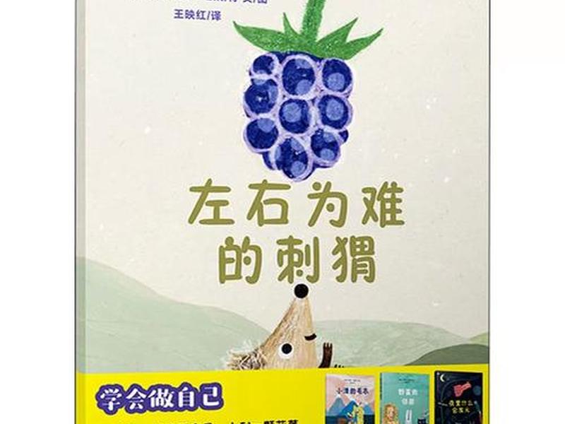 两难问题有哪些 有哪些两难的问题