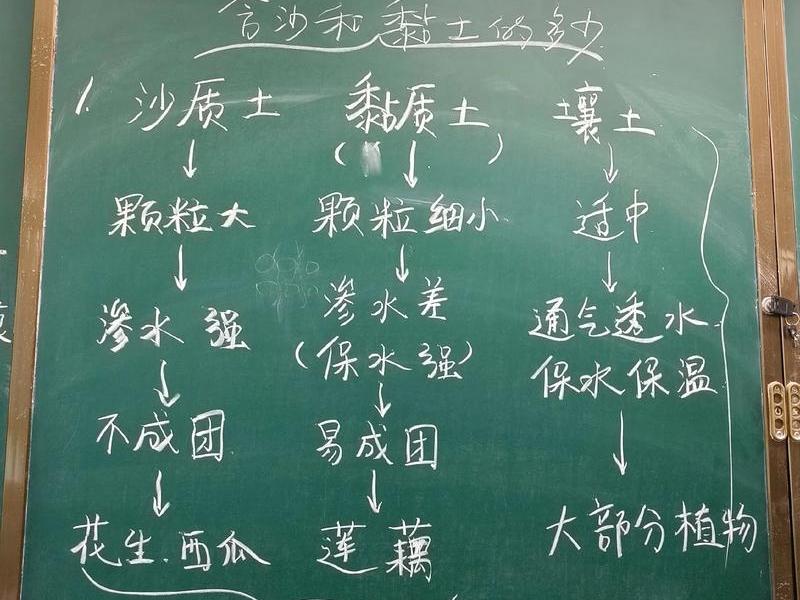 人际关系板书设计;人际关系板书设计怎么写 人际关系板书设计;人际关系板书设计怎么写
