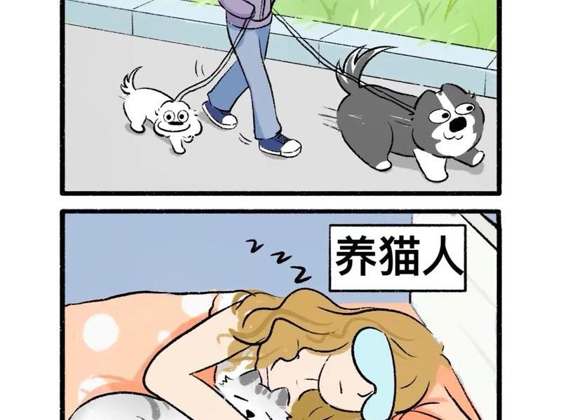 人际关系包括人和动物吗;人际关系包括人和动物吗对吗 人际关系包括人和动物吗;人际关系包括人和动物吗对吗