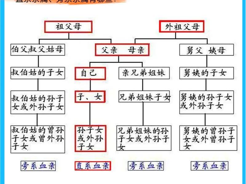 亲属关系属于人际关系吗 亲属关系属于人际关系吗为什么