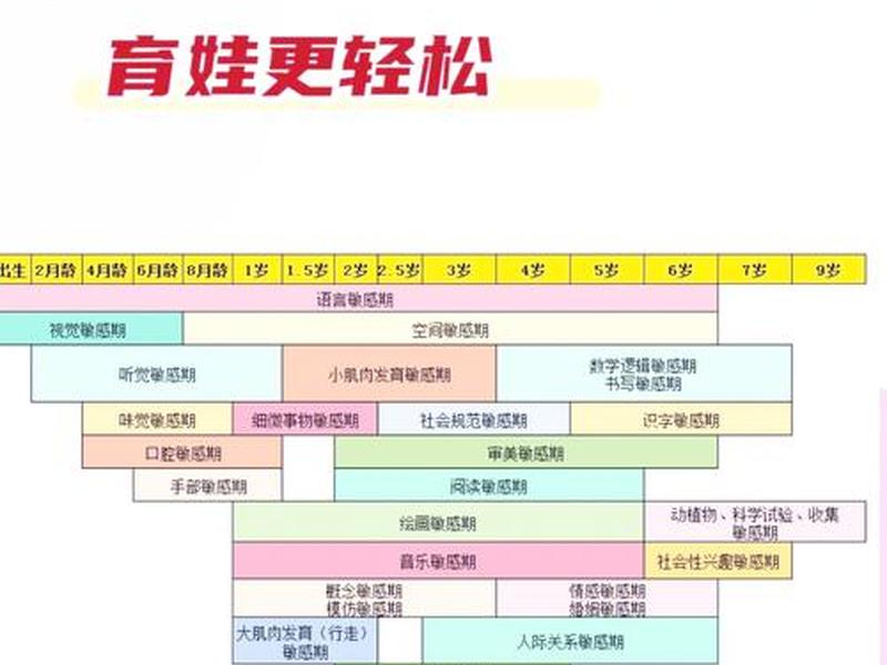人的敏感期和关键期、秩序敏感期的关键期 人的敏感期和关键期、秩序敏感期的关键期