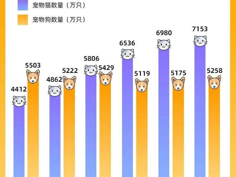 哪个动物交往次数最多 - 哪个动物交往次数最多呢 哪个动物交往次数最多 - 哪个动物交往次数最多呢