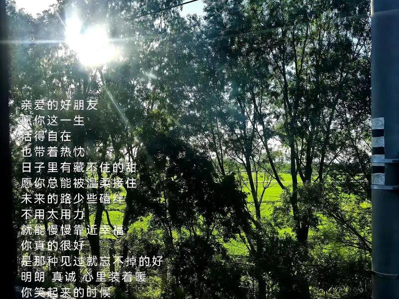 刻意维持的关系(刻意去维持的关系) 刻意维持的关系(刻意去维持的关系)