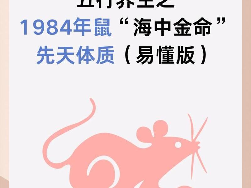 84属鼠人职场人际关系，84属鼠的人