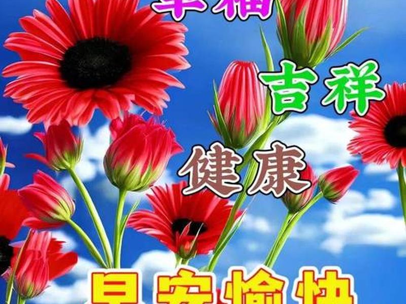 健康快乐是幸福轨道简谱图片,健康快乐是幸福轨道简谱图片高清 健康快乐是幸福轨道简谱图片,健康快乐是幸福轨道简谱图片高清