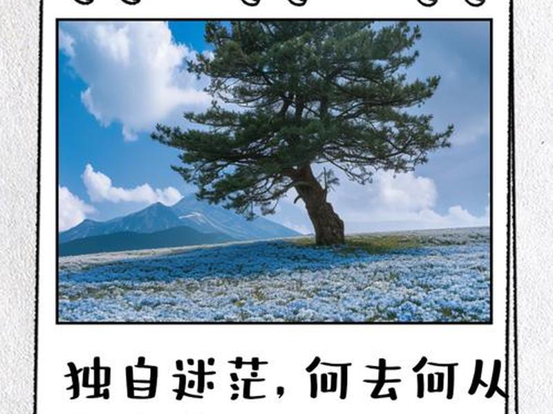 20岁感情该何去何从;20岁感情该何去何从的说说 20岁感情该何去何从;20岁感情该何去何从的说说
