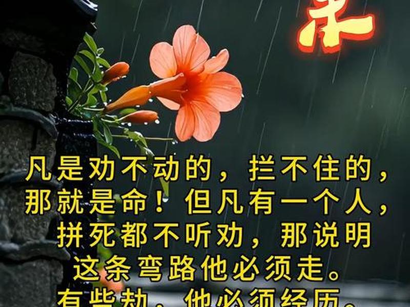 佛说不愿与人接触、佛说不愿与人接触是真的吗
