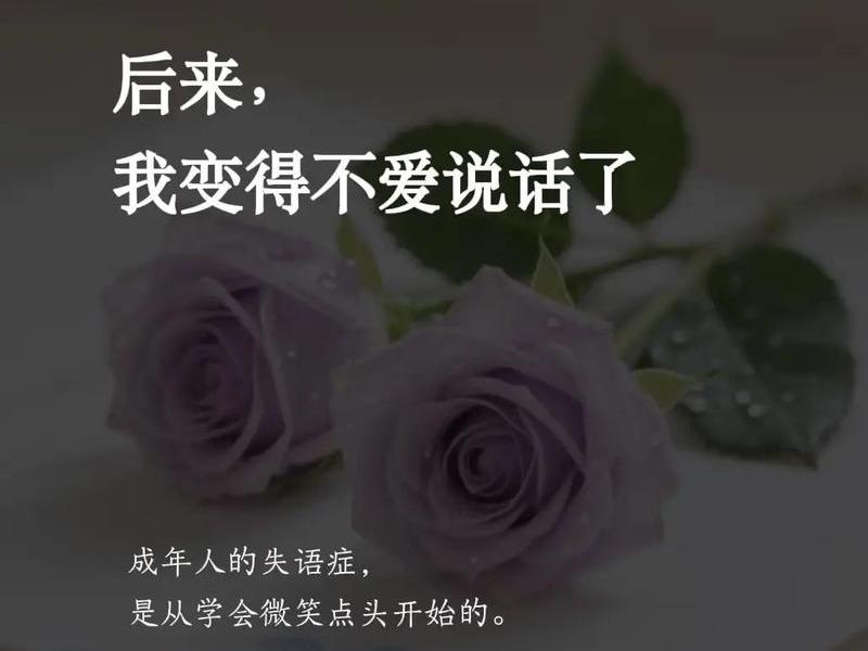 不爱说话人很可怕、不爱说话人很可怕吗 不爱说话人很可怕、不爱说话人很可怕吗