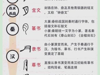 关系汉字的演变 - 关系汉字的演变教案