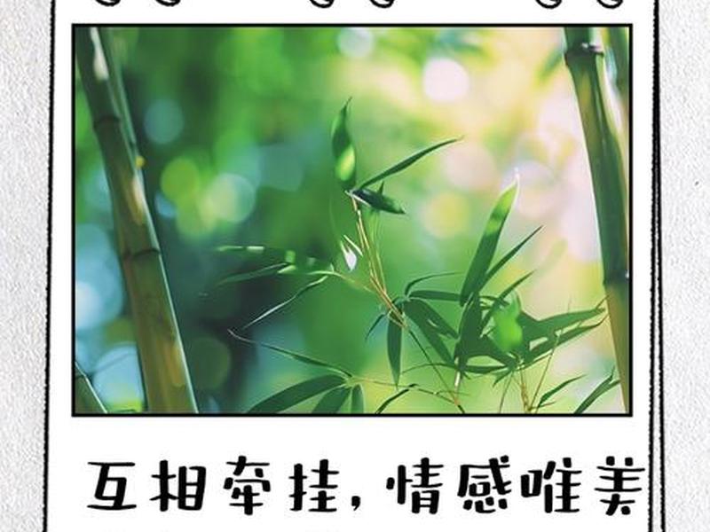 关于互相牵挂的说说；关于互相牵挂的说说短句