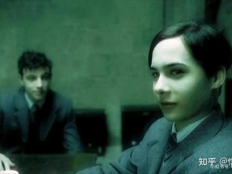 伏地魔在婚姻中的表现,伏地魔在婚姻中的表现如何 伏地魔在婚姻中的表现,伏地魔在婚姻中的表现如何