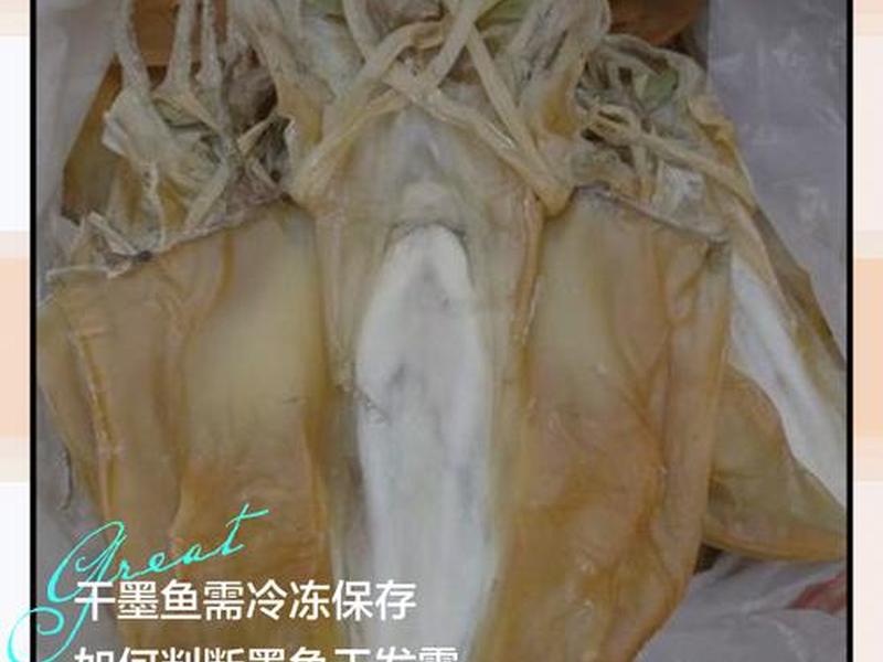 墨鱼干怎么处理最好吃,墨鱼干怎么处理最好吃图片 墨鱼干怎么处理最好吃,墨鱼干怎么处理最好吃图片