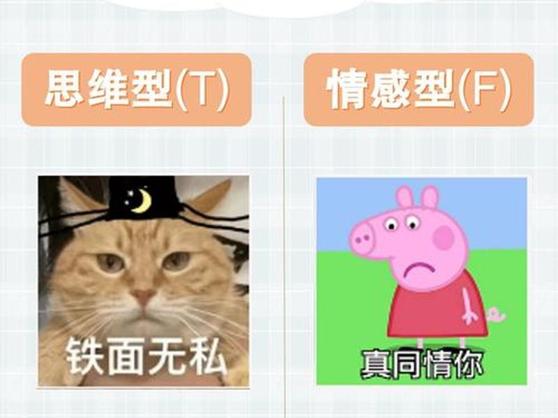品格和人格的区别；品格和人格的区别在哪里