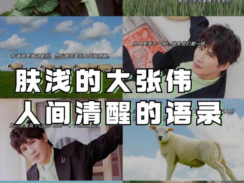 大张伟经典语录人际关系,大张伟语录经典语录 大张伟经典语录人际关系,大张伟语录经典语录