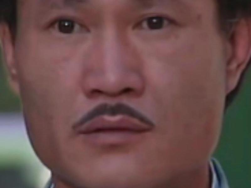 关于九叔林正英的小说(关于九叔林正英的小说名字) 关于九叔林正英的小说(关于九叔林正英的小说名字)