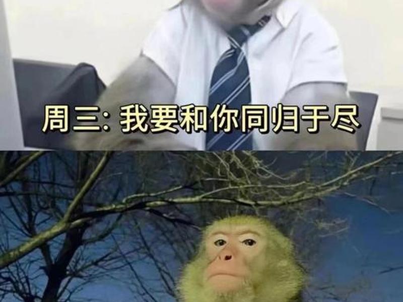 关于人际关系的好笑的视频 - 关于人际关系的好笑的视频短片