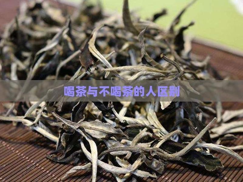 喝茶的人和不喝茶的人 喝茶的人和不喝茶的人有什么区别 喝茶的人和不喝茶的人 喝茶的人和不喝茶的人有什么区别