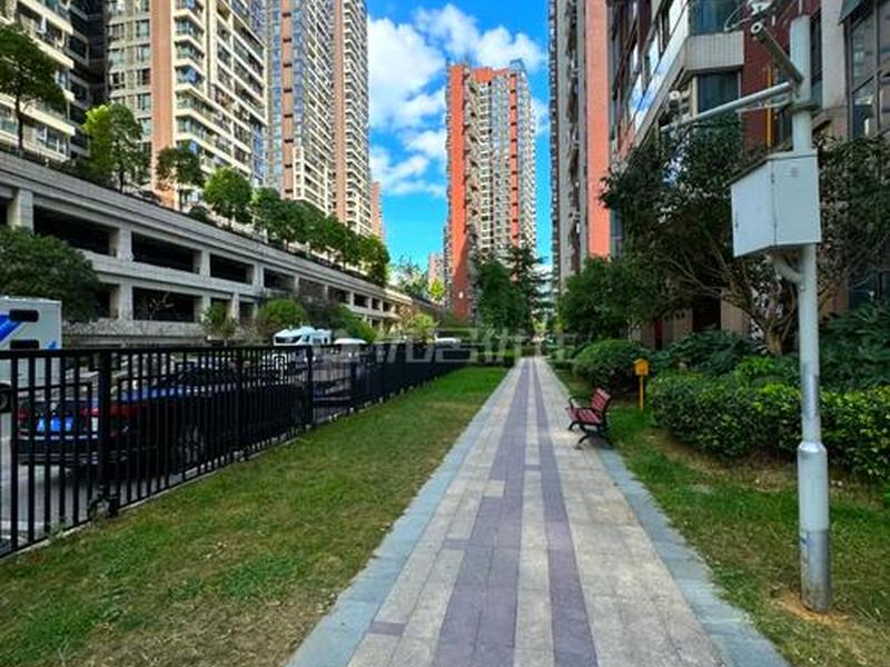 城市人家黄号，城市人家效果图