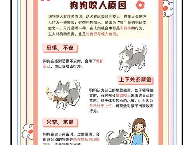 不同犬种人际关系感知差异、不同犬种人际关系感知差异的原因 不同犬种人际关系感知差异、不同犬种人际关系感知差异的原因