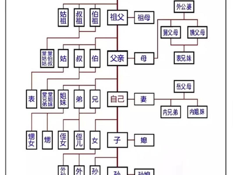 亲戚人际关系示意图 亲戚人际关系示意图图片 亲戚人际关系示意图 亲戚人际关系示意图图片