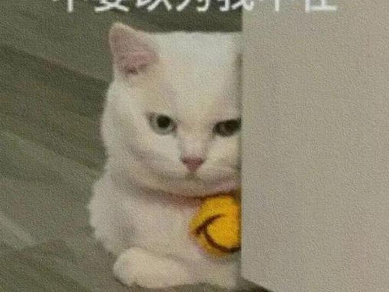 不想维持任何关系表情包 - 不想维持任何关系表情包图片 不想维持任何关系表情包 - 不想维持任何关系表情包图片